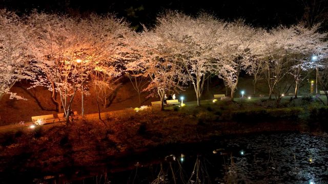 영상 [4월 3일(봄 풍경)]