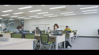 동신대벚꽃25.4.9