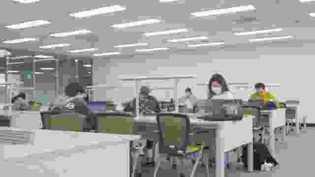 동신대벚꽃25.4.9