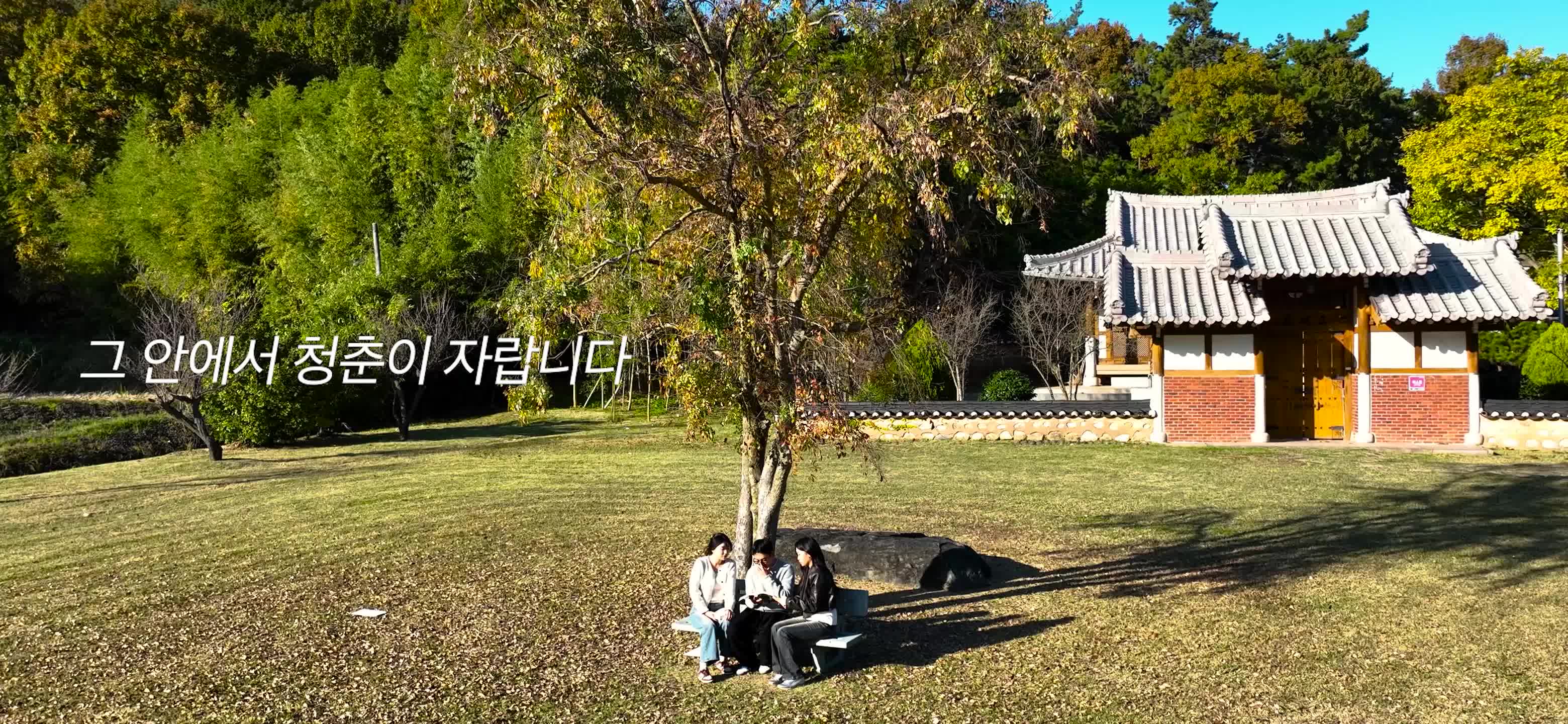 동신대학교의 가을